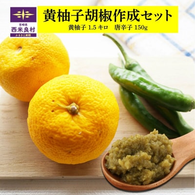 【ふるさと納税】黄柚子胡椒作成セット 九州産 薬味 宮崎県 西米良村