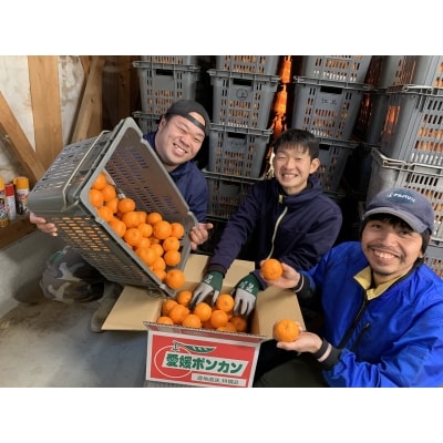 【先行予約】<愛媛県明浜産 天晴ポンカン(吉田ポンカン) 3kg>　ぽんかん　柑橘　西予市　フルーツ