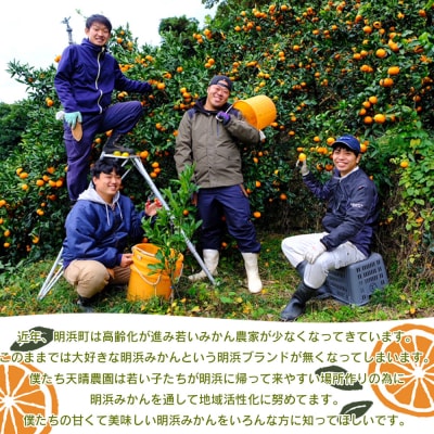 愛媛県明浜産　天晴みかん(温州みかん) 3kg