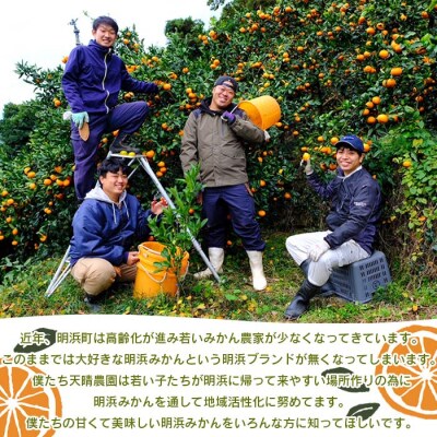 【先行予約】<愛媛県明浜産 天晴ポンカン(吉田ポンカン) 10kg>　西予市　柑橘　ぽんかん　フルー
