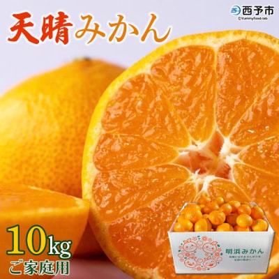 【先行予約】愛媛県明浜産　天晴みかん(温州みかん) 10kg
