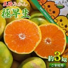 【先行予約】愛媛県明浜産　天晴みかん(極早生みかん)　3kg