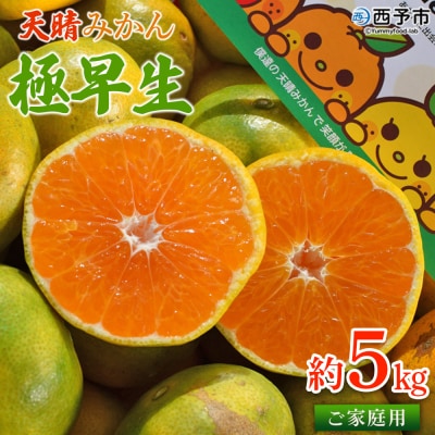 【先行予約】愛媛県明浜産　天晴みかん(極早生みかん)　5kg