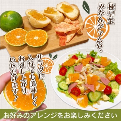 【先行予約】愛媛県明浜産　天晴みかん(極早生みかん)　10kg