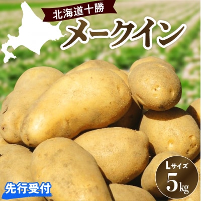 【先行受付】【2025年10月出荷分】北海道芽室町 十勝めむろ産「めむろメークイン」Lサイズ5kg