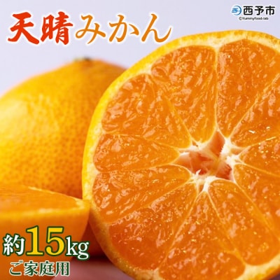 【先行予約】愛媛県明浜産　天晴みかん(温州みかん)　15kg