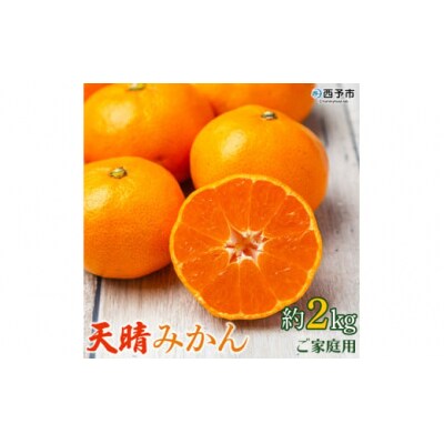 【先行予約】愛媛県明浜産　天晴みかん(温州みかん) 2kg