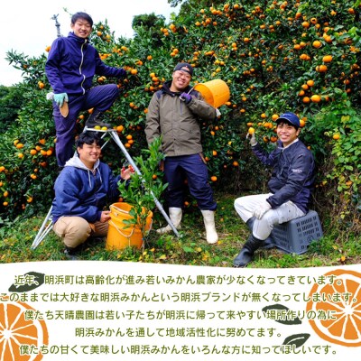 【先行予約】愛媛県明浜産　天晴みかん(温州みかん) 2kg