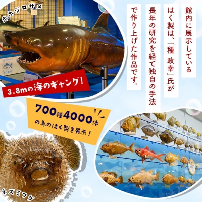 ホホジロザメの弓浜絣巾着