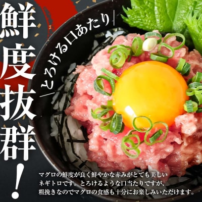 【四国一小さなまち】≪カネアリ水産≫ まぐろのネギトロ　800g(80g×10パック)