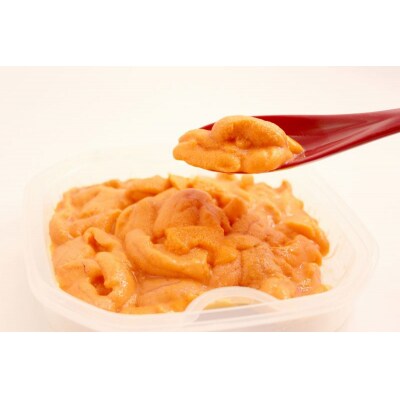 北海道産 塩水ウニ(バフン)100g_Y038-0140