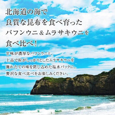 北海道産 塩水ウニ(ムラサキ&バフン)_Y038-0142