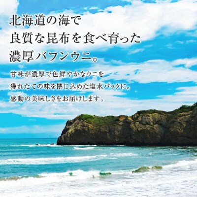 北海道産 塩水ウニ(バフン)300g_Y038-0146