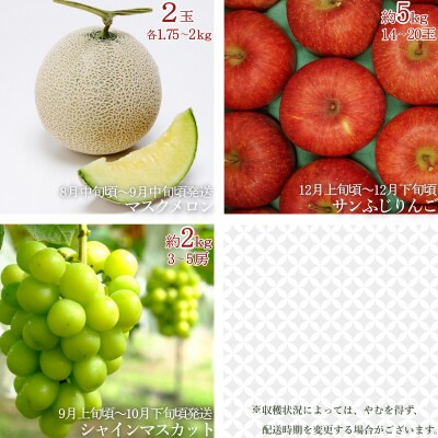 【R7年8～12月発送】【定期便3回】山形の果物3選(メロンシャインマスカットふじりんご)H158