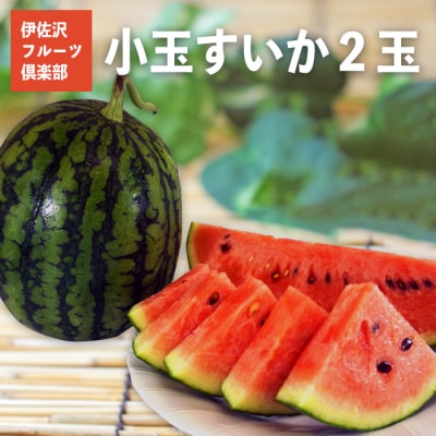 【2025年7月～8月発送分先行受付】伊佐沢フルーツ倶楽部の小玉すいか2玉_H098(R7)
