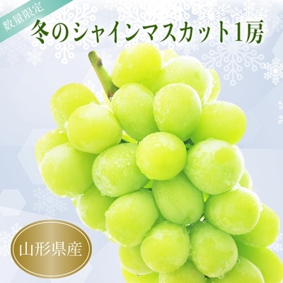 【R7年12月発送分受付】冬の山形県産低温貯蔵シャインマスカット1房(約700～800g)_H067