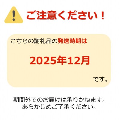 【R7年12月発送分受付】冬の山形県産低温貯蔵シャインマスカット1房(約700～800g)_H067