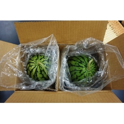 【2025年7月～8月発送分先行受付】小玉すいか(長井市産)約1.5～3kg×2玉_H053(R7)