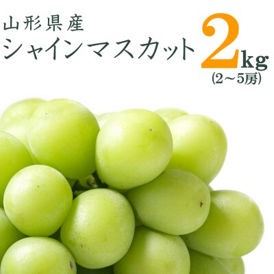 【R7年9月～10月発送分先行受付】山形のぶどう(シャインマスカット)約2kg(2～5房)_H063