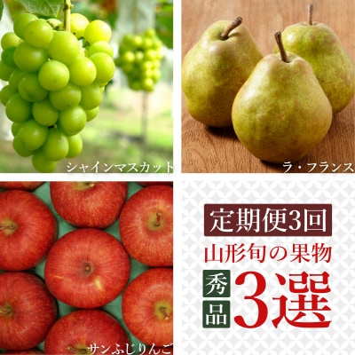 【R7年9～12月発送定期便3回】山形旬の果物3選(シャインマスカットラフランスふじりんご)H159