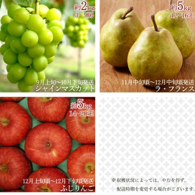 【R7年9～12月発送定期便3回】山形旬の果物3選(シャインマスカットラフランスふじりんご)H159