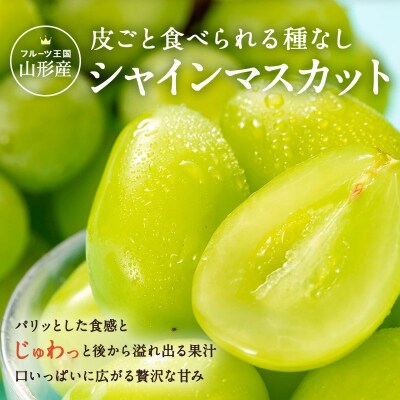 【R7年9～10月発送分先行受付】山形のぶどう(シャインマスカット)2房・計1kg以上_H065