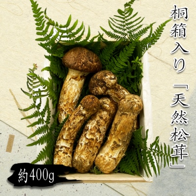 【R7年9月～11月発送分先行受付】山形県産「天然松茸(まつたけ)」約400g(桐箱入)_H086