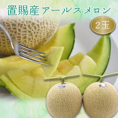 【R7年8月～9月先行受付】置賜産マスクメロン(アールスメロン)約1.75kg～2.0kg_H136