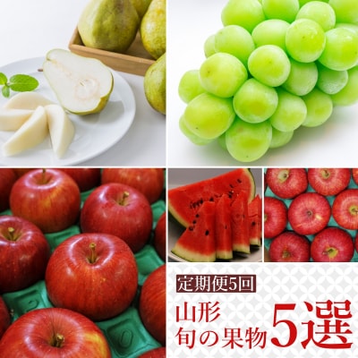 【R7年7～12月分先行受付】果物定期便5回(すいか、シャインマスカット、りんご2種、洋梨)H147