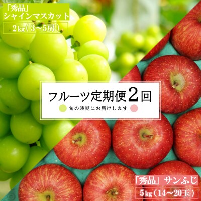 【R7年9月～12月発送分先行受付】果物定期便2回(シャインマスカット/りんご)_H183