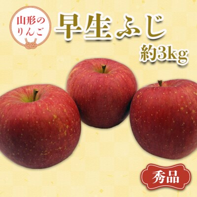 【2025年9月～10月発送分先行受付】「秀品」山形のりんご(早生ふじ)約3kg_H165(R7)