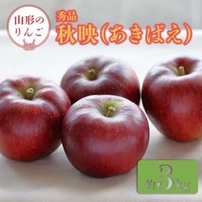 【2025年9月～10月発送分先行受付】「秀品」山形のりんご(秋映)約3kg_H164(R7)