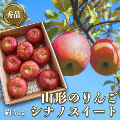 【R7年10月~11月発送分先行受付】「秀品」山形のりんご(シナノスイート)約3kg_H166