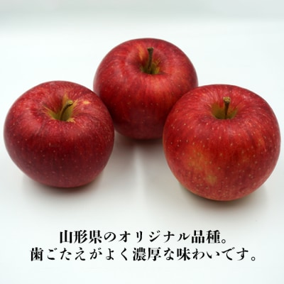 【2025年10月発送分先行受付】「秀品」山形のりんご(秋陽)約3kg_H167(R7)