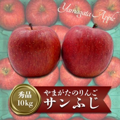 【R7年11月～12月発送分先行受付】「秀品」山形のりんご(サンふじ)約10kg_H170(R7)