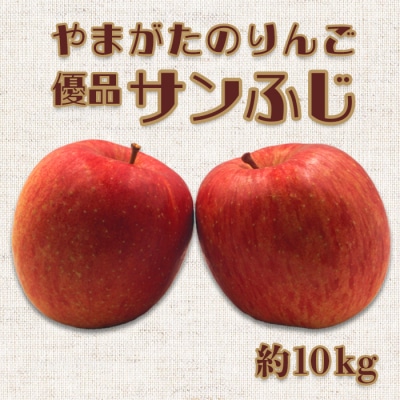 【2025年11月～12月発送分】「優品」山形のりんご(サンふじ)約10kg_H171(R7)