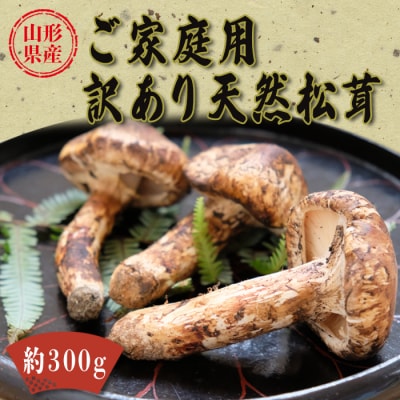 【R7年9月～11月発送分先行受付】山形県産ご家庭用訳あり天然松茸(まつたけ)約300g_H198