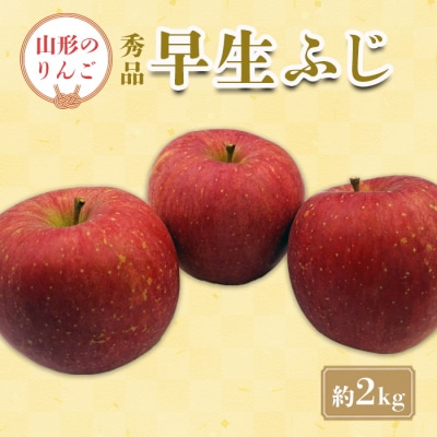 【2025年9月～10月発送分先行受付】「秀品」山形のりんご(早生ふじ)約2kg_H212(R7)