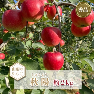 【2025年10月発送分先行受付】「秀品」山形のりんご(秋陽)約2kg_H214(R7)