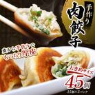 肉餃子45個(15個×3) 冷凍餃子 ギョーザ ぎょうざ 中華 冷凍食品 惣菜 F4F-4046