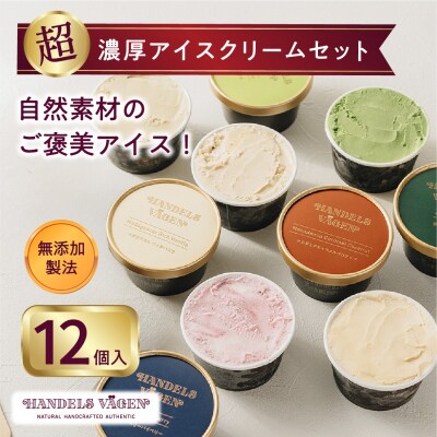 ハンデルスベーゲン 無添加アイスクリーム / 12個セット