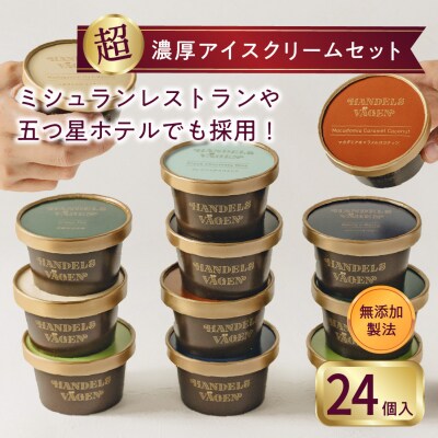 ハンデルスベーゲン 無添加アイスクリーム / 24個セット