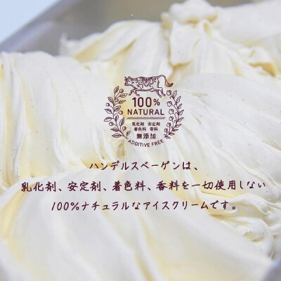 ハンデルスベーゲン 無添加アイスクリーム / 24個セット