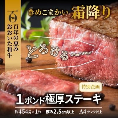 【A4～A5等級】まさに肉のエアーズロック〃おおいた和牛1ポンド極厚ステーキ_29365A