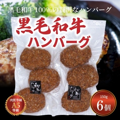 黒毛和牛100% ハンバーグ 6個セット_S001-019A