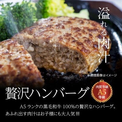 黒毛和牛100% ハンバーグ 6個セット_S001-019A