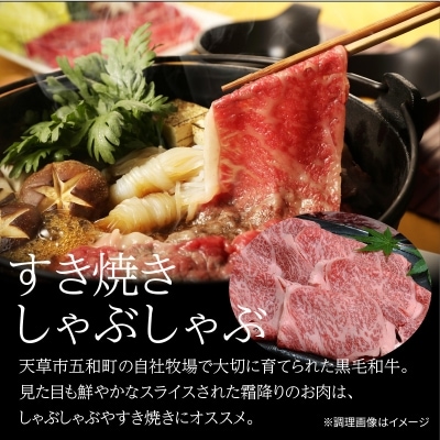 熊本県天草産 霜降り 黒毛和牛 ローススライス 1kg(500g×2)_S001-016A