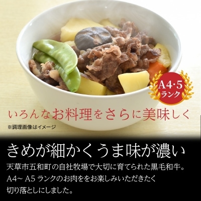 熊本県天草産 黒毛和牛 霜降りロース切り落とし 1kg_S001-018A