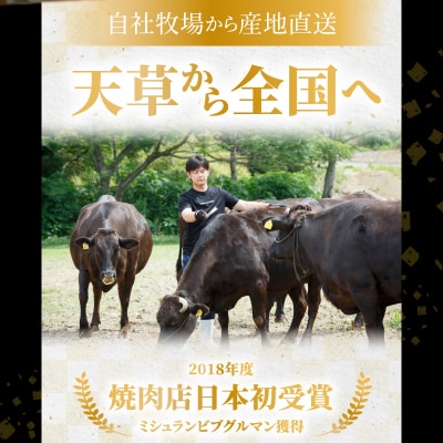 熊本県天草産 黒毛和牛 霜降りロース切り落とし 1kg_S001-018A