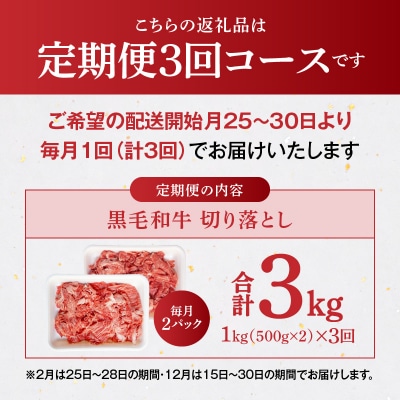 【定期便3回】A4～A5等級 黒毛和牛切り落とし1kg(500g×2P)_S001-001-T03A